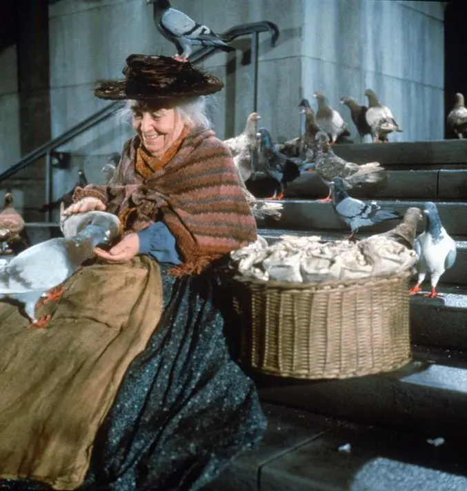 Feed The Birds