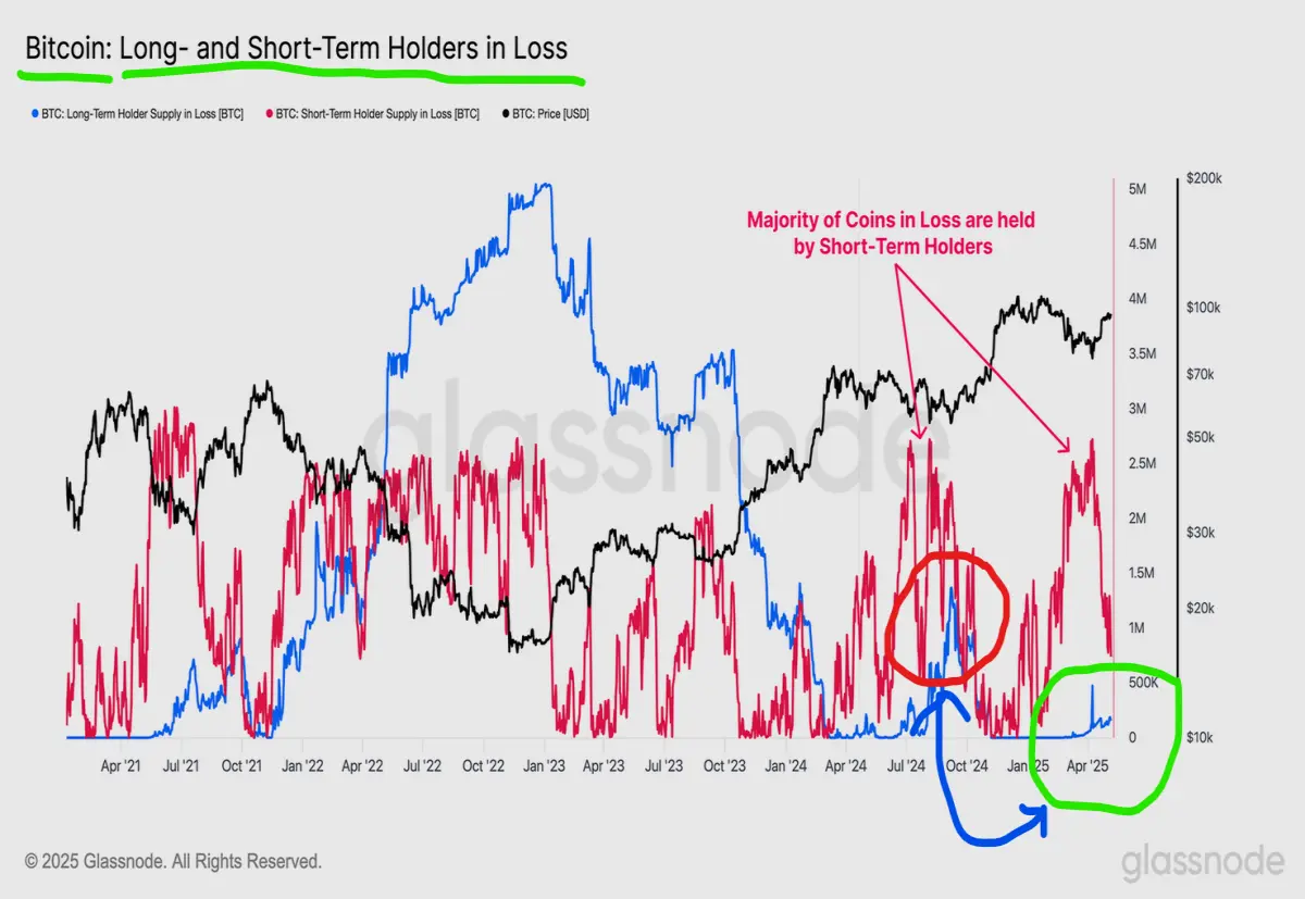 long term and short term bitcoin holders