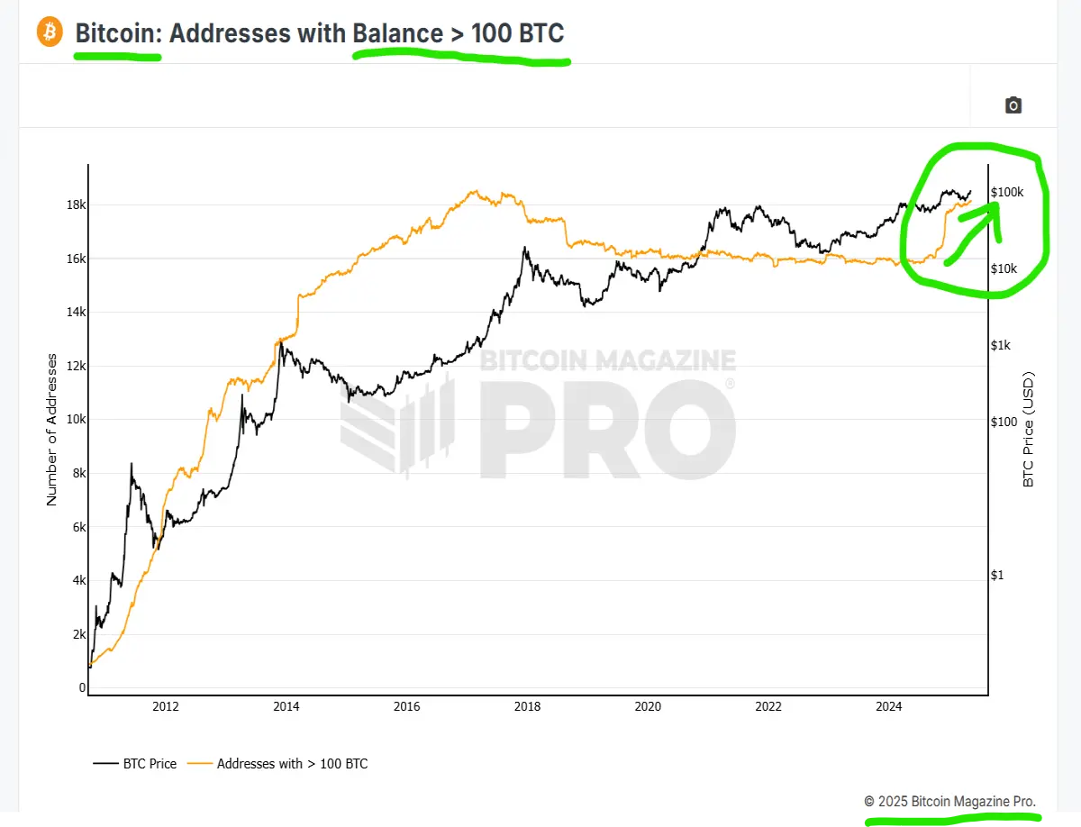 biggest owners of bitcoin