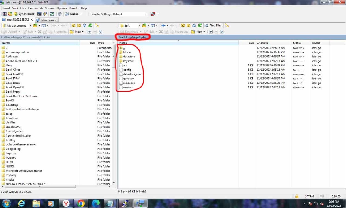 Install IPFS On FreeBSD-image-by-unixwinbsd.site