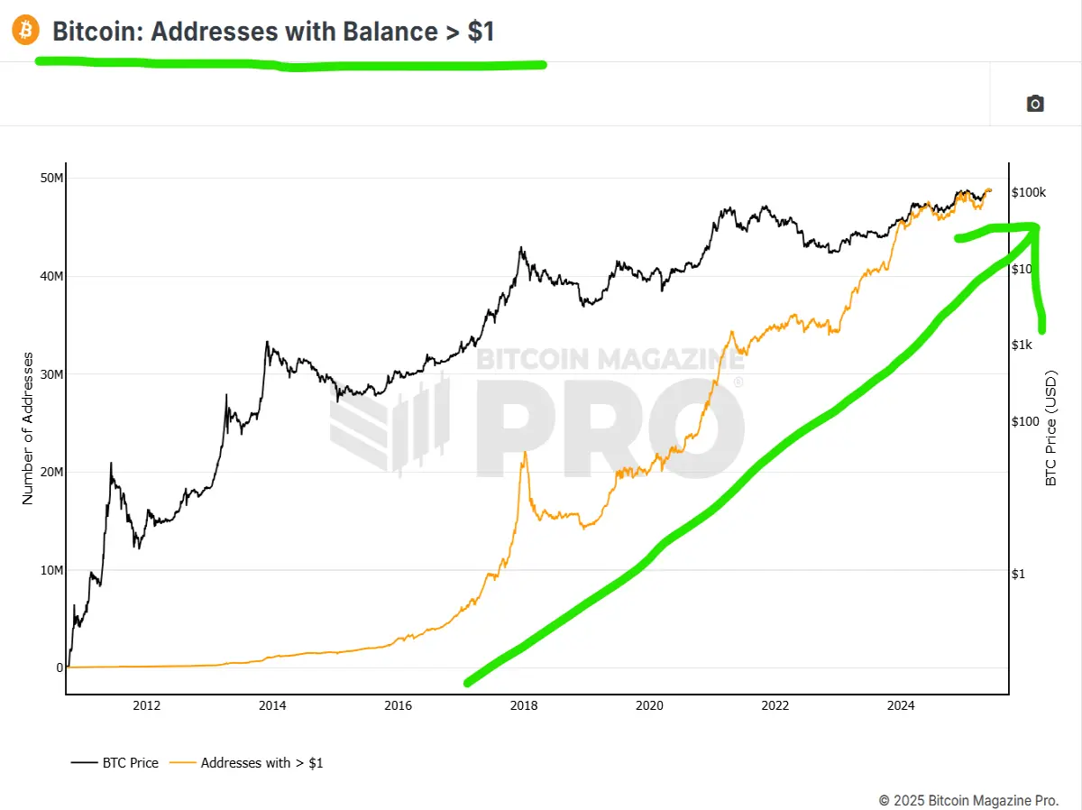 bitcoin adoption