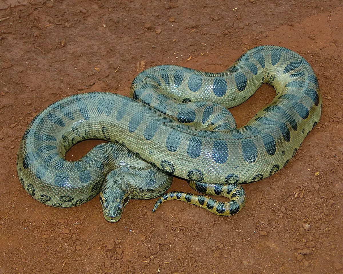 8fd355312319ed9a402f745c3ce4e1a65ab477d36f5b3405cec0eda3b8ae2242.jpg