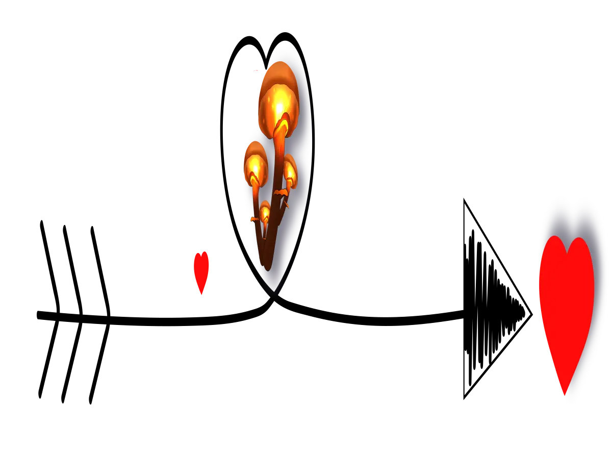 562f1046b003e1d540f0e778ffc20305132797b1fc9732a94f671d0e5473cb20.png