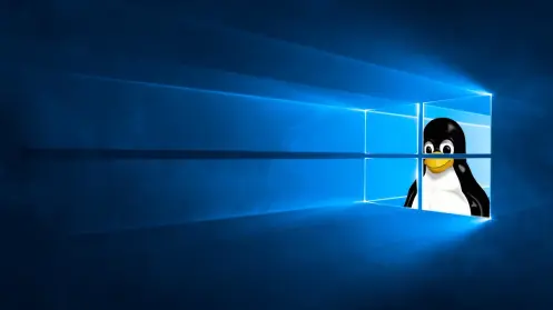 Linux sigue creciendo