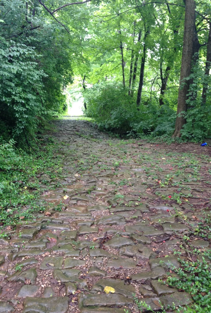 Path