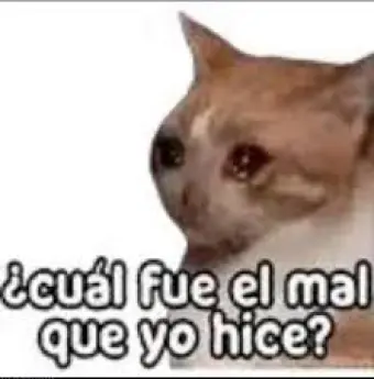 meme gatito diciendo cuál fue el mal que yo hice - El Salvador-Copybiker