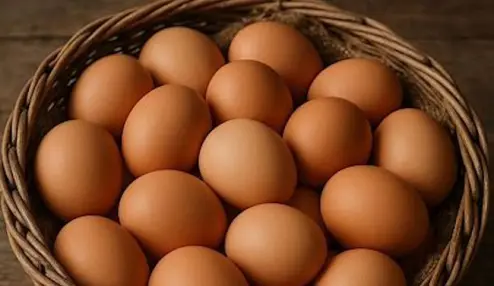 Huevos en una canasta
