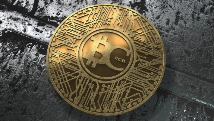 what is bitcoin cash bch