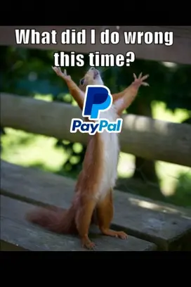 Funny meme of a frustrated squirrel with arms up and PayPal logo on its chest, representing freelancers losing money to PayPal fees and looking for cheaper alternatives like Binance.