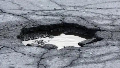 Bache