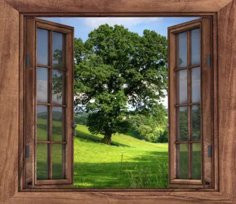Ventana abierta