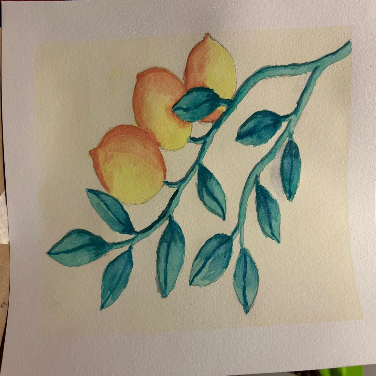 Lemons on the branch - watercolors