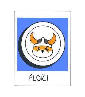 FLOKI
