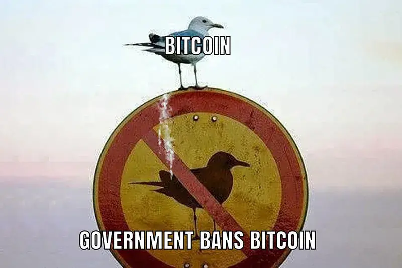 5fcdc5bb09c1681f6f89e9a40f74093769cfd3cba7d4523df14b32669f534fae.png