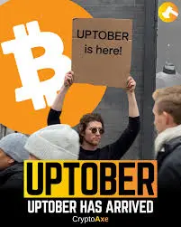 9bfcbba530f6289991bb50d7d0e2bfeb35107e1f67c808a36315f4ab3e6f44af.jpg