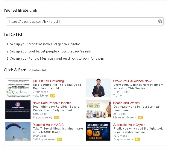 Leadsleap Earning