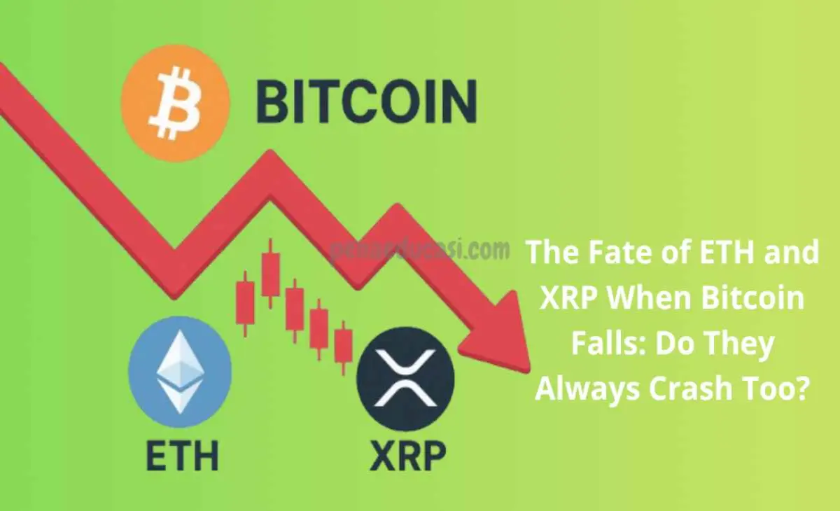 The Fate of ETH and XRP When Bitcoin Falls: Do They Always Crash Too?