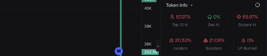 An image showing Axiom's Token Info section. Which lists important on-chain stats including Top 10 Holder %, Sniper %, Insider %, Bundler %, LP Burn % and Dev Holding %. Used to evaluate risk levels and token distribution before entering a trade.