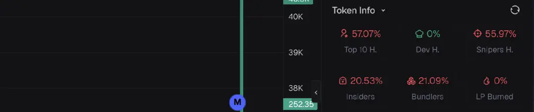 An image showing Axiom's Token Info section. Which lists important on-chain stats including Top 10 Holder %, Sniper %, Insider %, Bundler %, LP Burn % and Dev Holding %. Used to evaluate risk levels and token distribution before entering a trade.