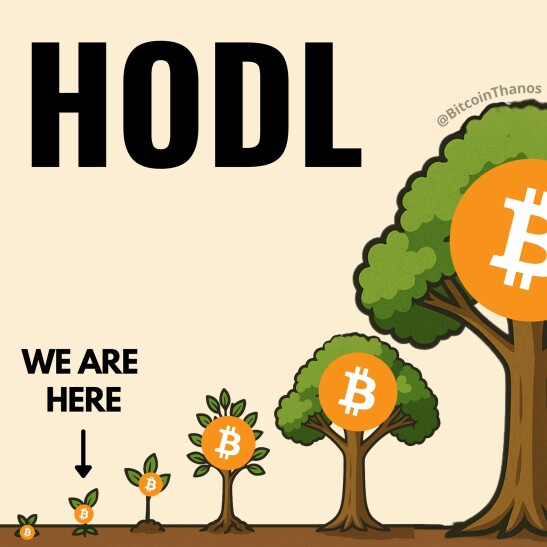 Hodl