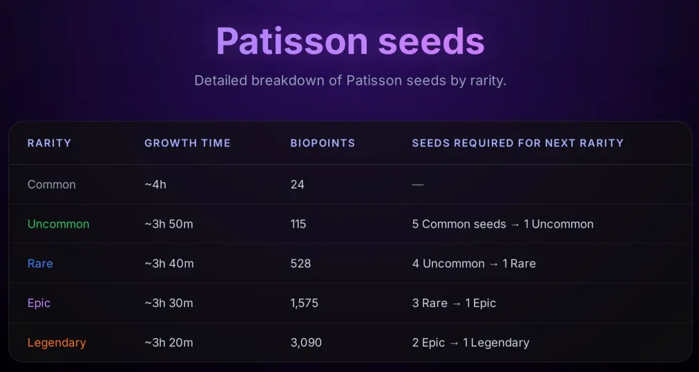 Chainers Patisson seeds growth time and merge list