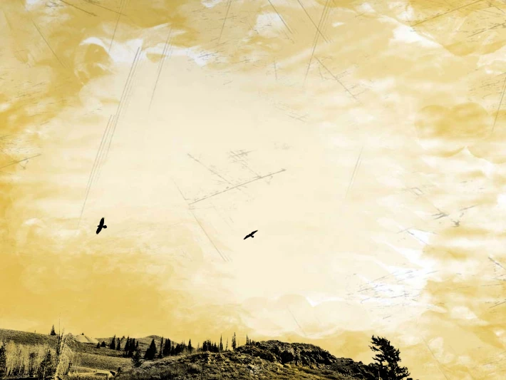 Mountains, Birds, Sky