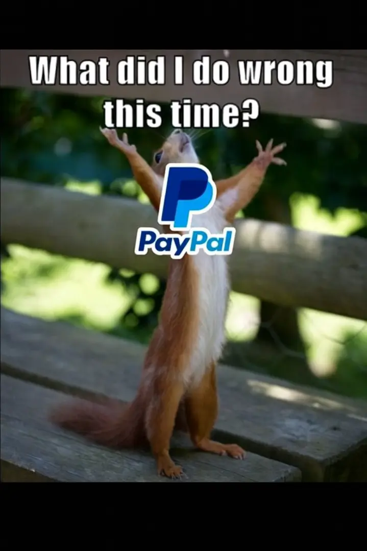 an image of a frustrated individual claiming to the heaven why Paypal charges abusive fees