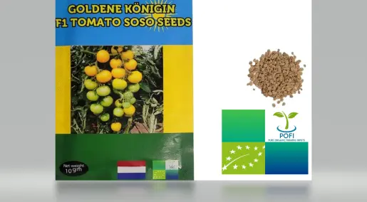 Golden Königin