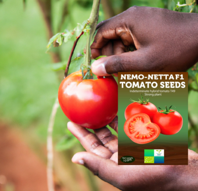 nemonetta
