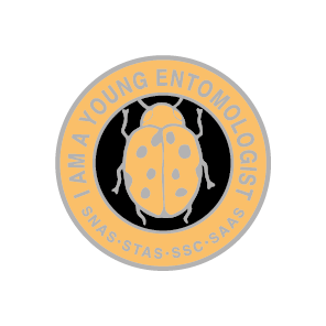 3e3f7678f568e057883b80c952e2bbe3796f4c0f64acf08575bb09fdee9d06c6.png