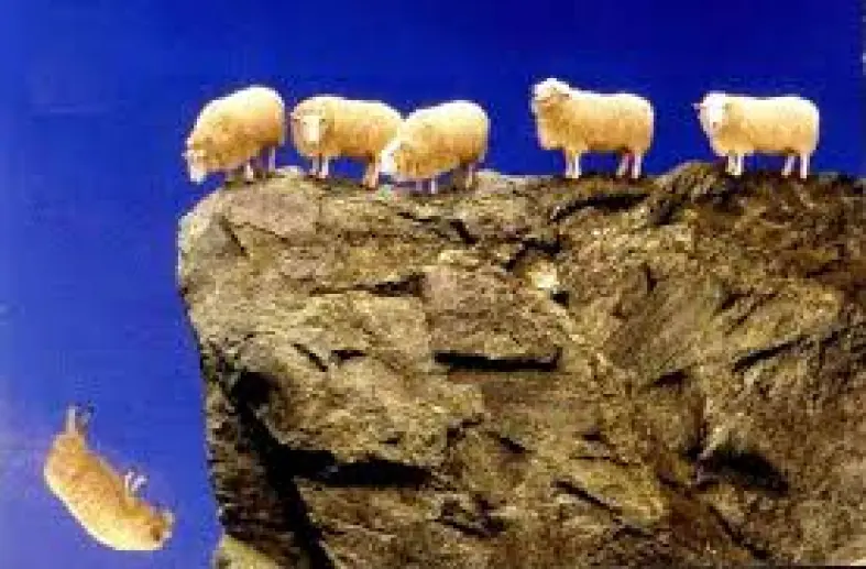 NPC Sheep over the cliff or endless slavery locked in FIAT hell.