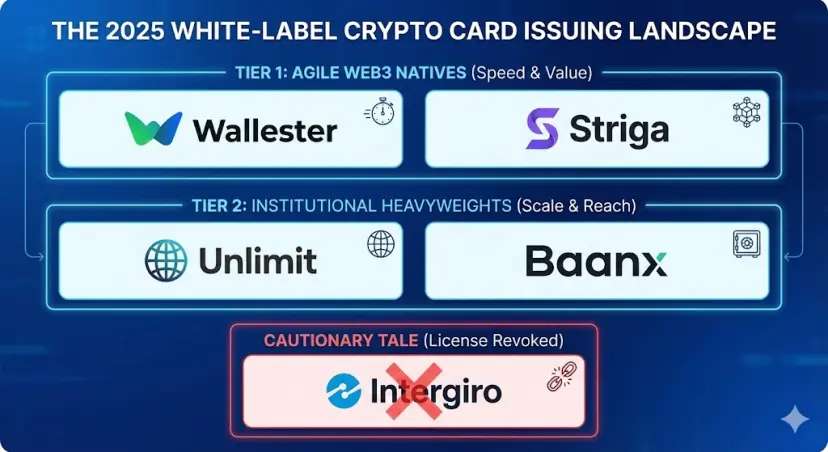 Comparison chart of top white-label crypto card providers in 2025. Tier 1 Agile Web3 Natives (Wallester, Striga) vs Tier 2 Institutional Heavyweights (Unlimit, Baanx), with Intergiro marked as a regulatory compliance risk warning.