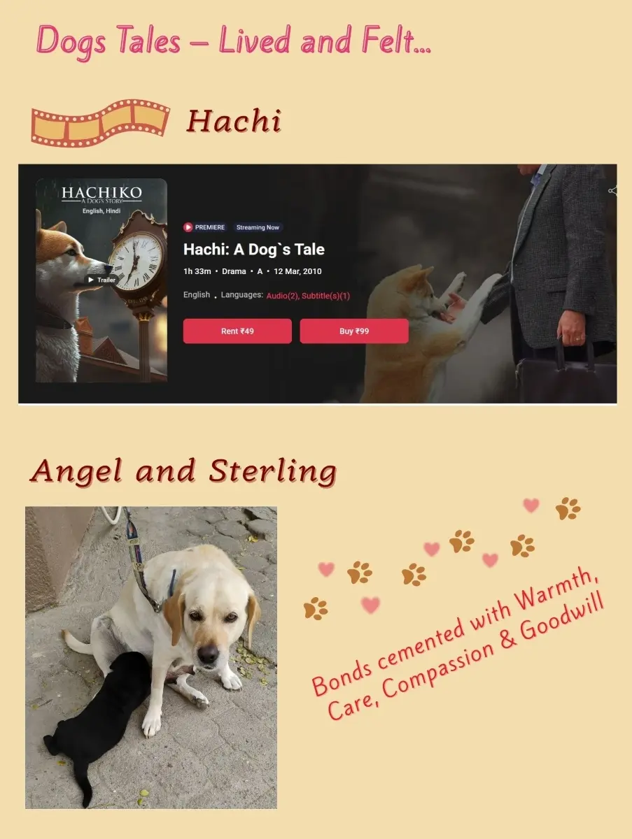 Dogs story movie hachi
