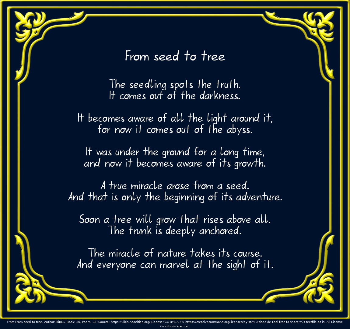 From seed to tree