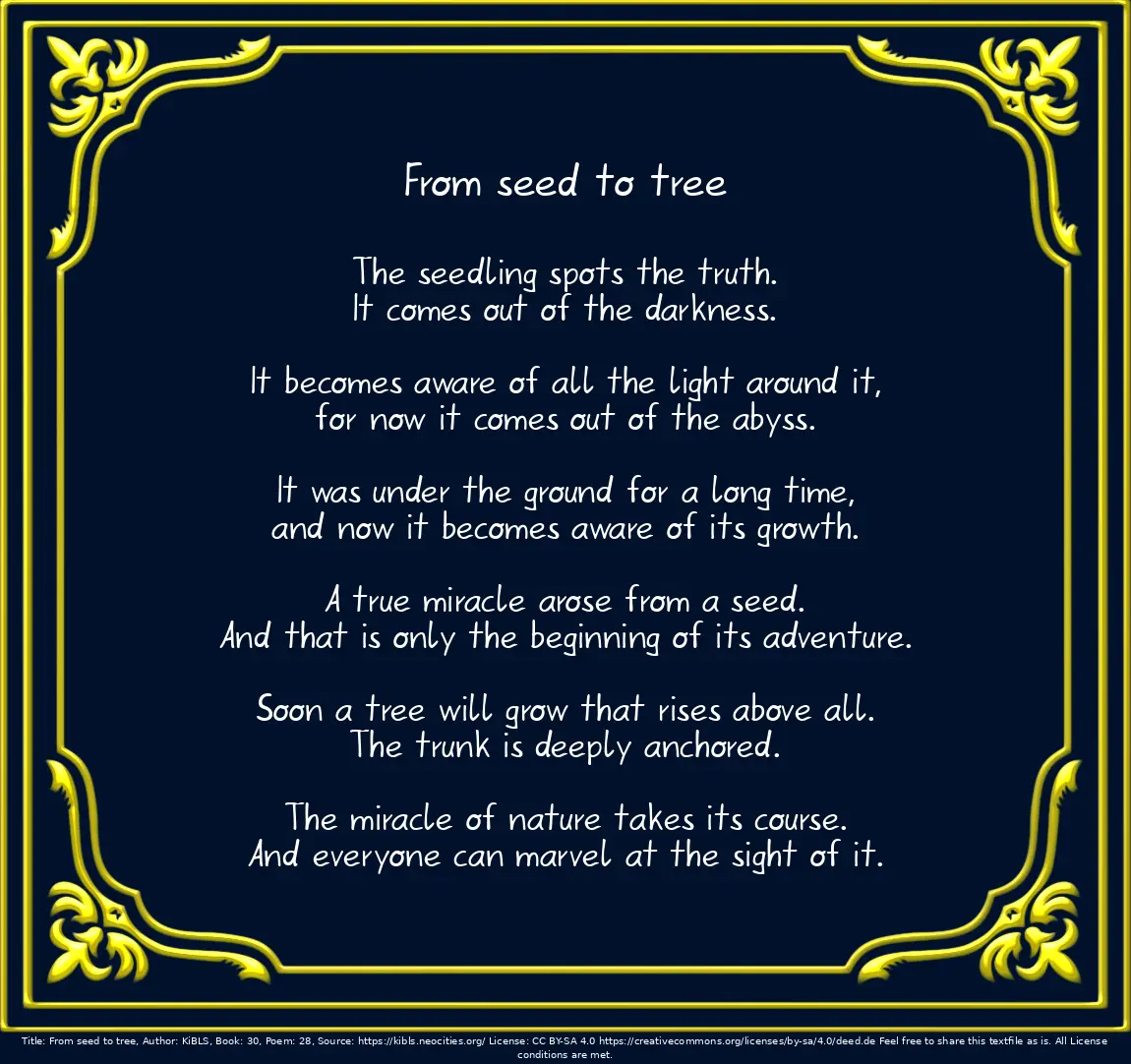 From seed to tree