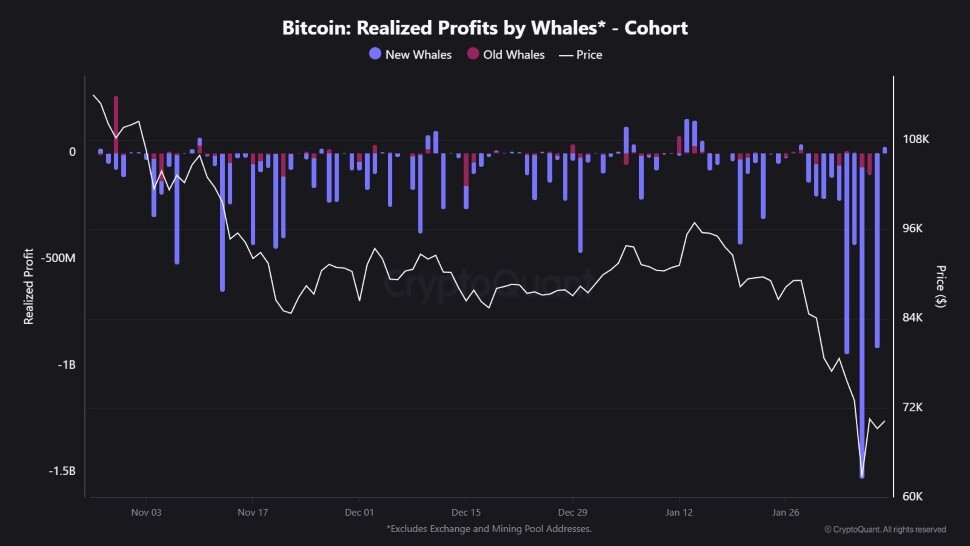 whales bitcoin btc losses