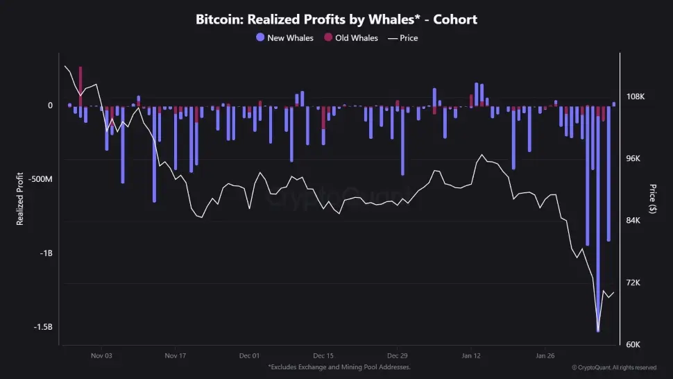 whales bitcoin btc losses