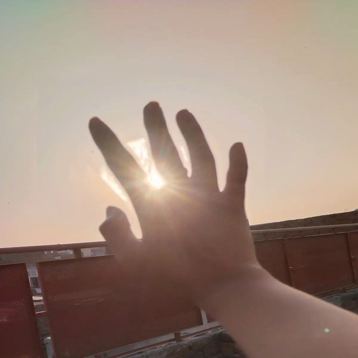 fd086e1c0a34b03e3175b7819c4e43ddafe256bcf9d6a38cc31925d812019eeb.jpg