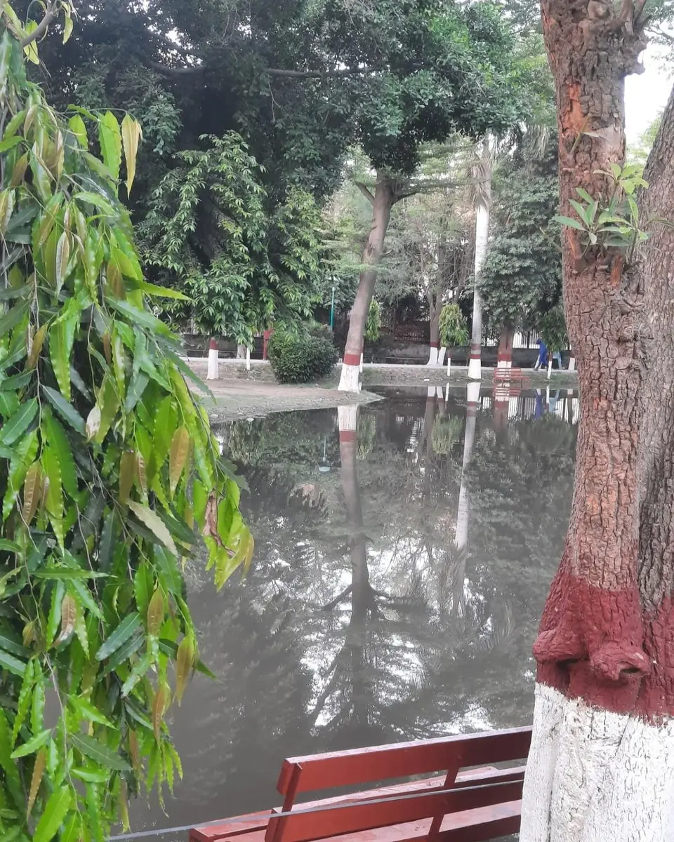 cda63dd25ea4ea77572cc177fd8d4a322c45dcd3f52e024808a3ae4ff0006c91.jpg