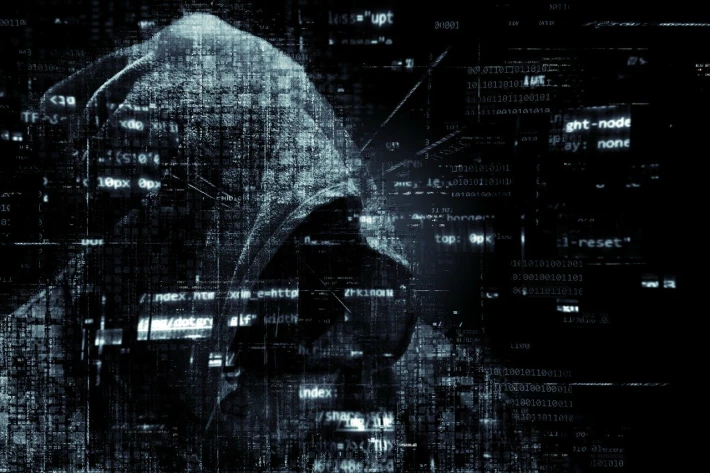 Flugsvamp 2.0 darknet