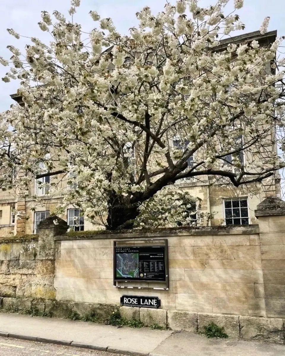 Oxford