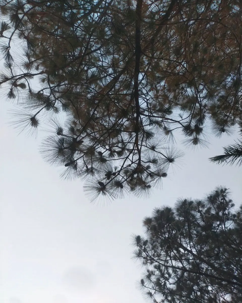 7a14ab1bdde1d73737e11e867897df12896dd5c8daddf53dadbec9f3ec3468e6.jpg