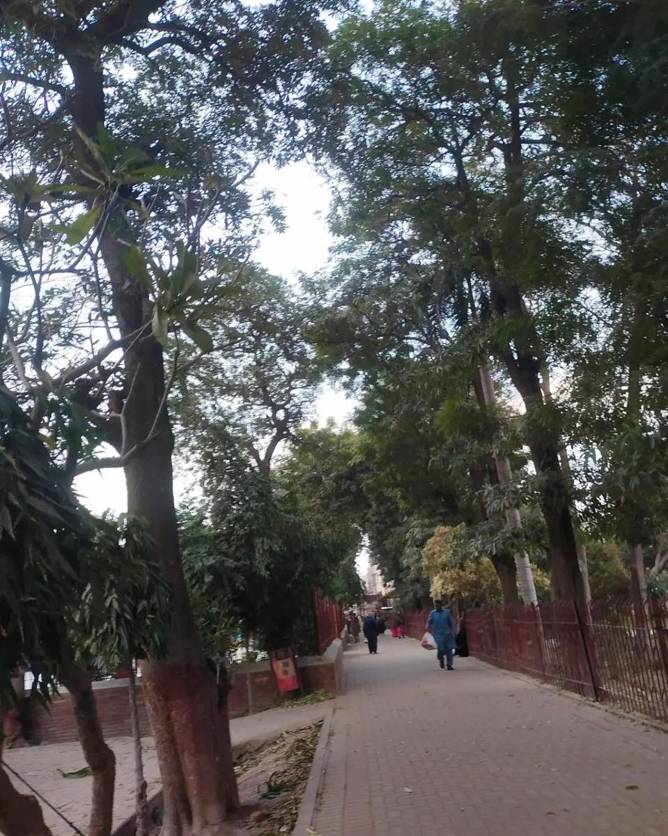 017a93c0767ab18cc6f507e94618175d43968135cc6875dca603f13558dd9ce5.jpg