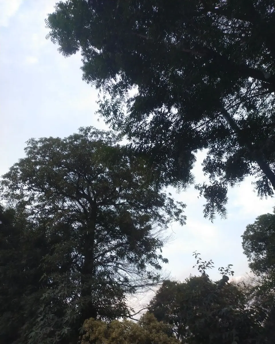 9a9cb9a85893d8a194297d3d1dd2290b52f4f5b308effd675dc107ebc4d44223.jpg