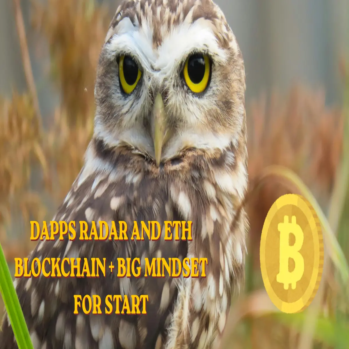 ETH and Mindset for growing