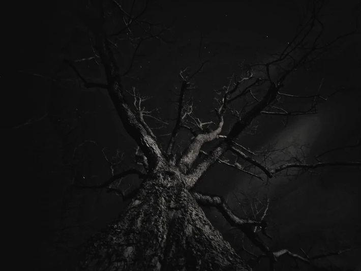 In the Night