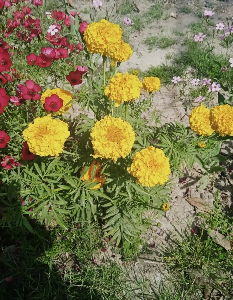 79dd0d33c32d3d0e960babccb53b42c08967c21ed685ae716ca0b04f1e9fc8c7.jpg