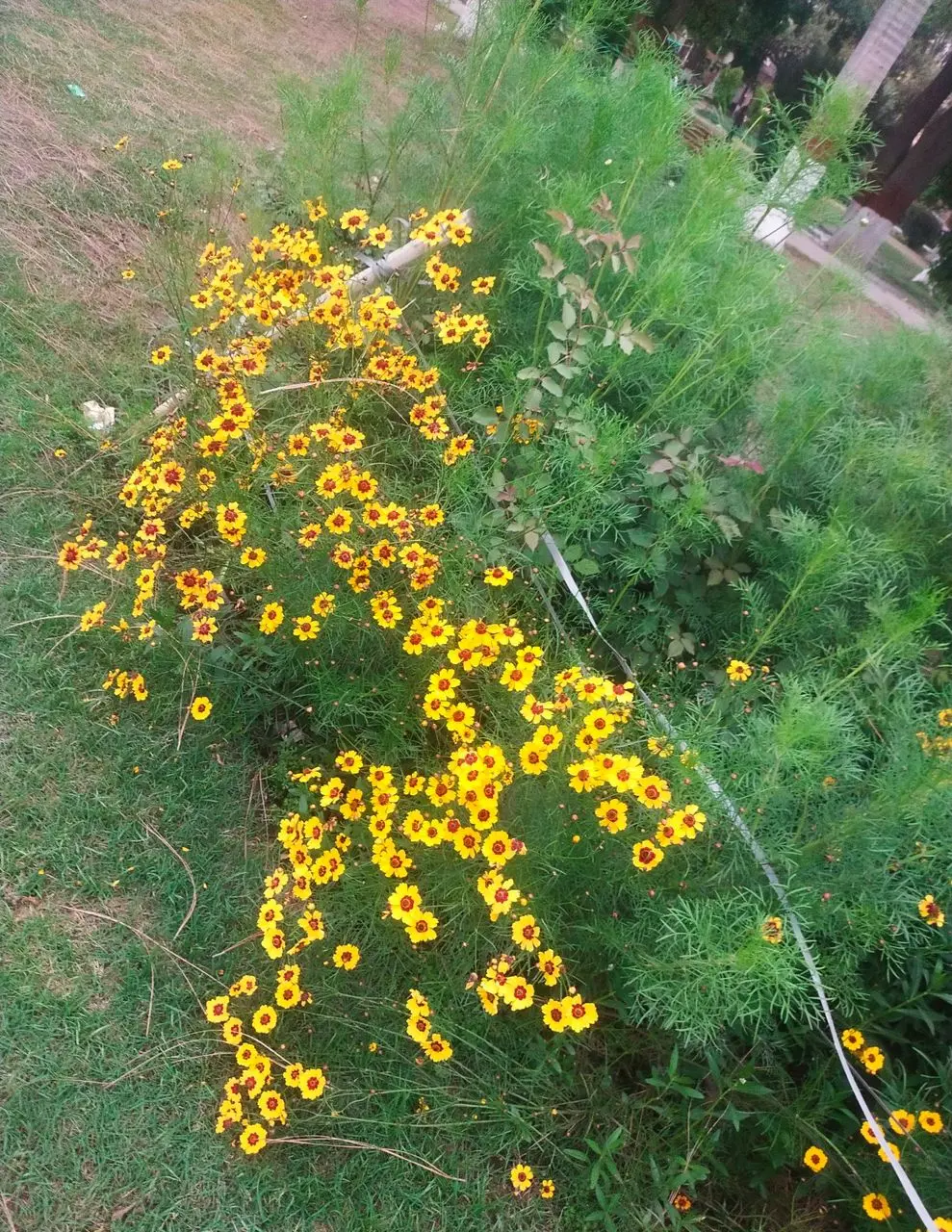 c0beaa25cbffd540d44b204f99f4045db232e4a5f250b113e97d6d1b6a31f34c.jpg