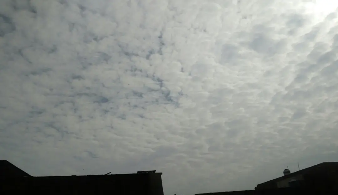 d0266ca8ea97d153a3e22c89c7c95a1cf7b8dd0529e18f164d44e0b9c04f4f70.jpg