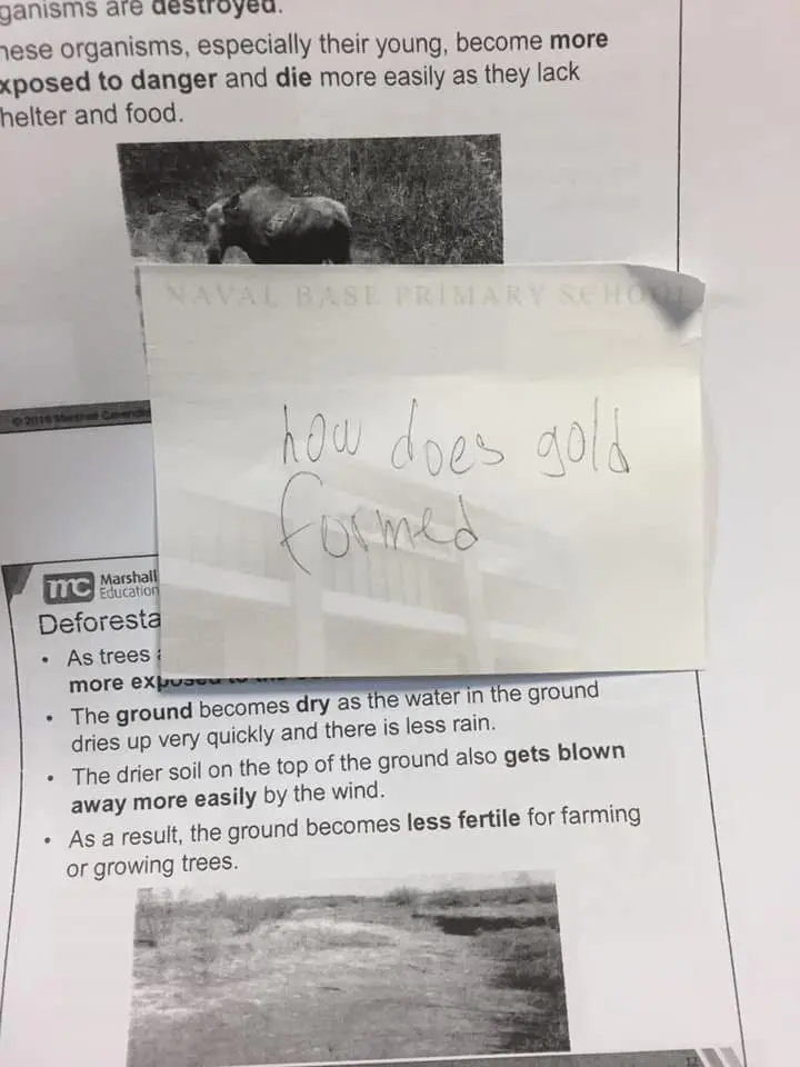 95ba53cad6c0246b3468237fa83d89d4ddcde5b0bc5020d5a317c9465b36426b.jpg
